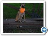 SDC10593 (FILEminimizer)