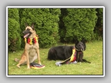 db_DSCN30235