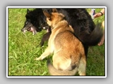 DSCN1166