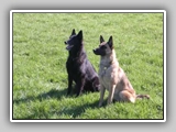 Img2005-04-21_0006