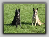 Img2005-04-21_0018