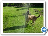 25 5 12 WasserstrahlSDC11051