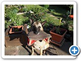 SDC10467 (FILEminimizer)