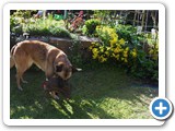 SDC10472 (FILEminimizer)