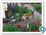 SDC10486 (FILEminimizer)