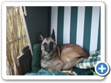 sdc10443_(fileminimizer)