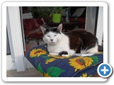 sdc10450_(fileminimizer)