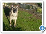 sdc10464_(fileminimizer)