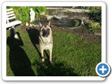 sdc10465_(fileminimizer)