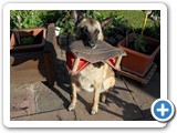 sdc10466_(fileminimizer)