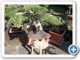 sdc10467_(fileminimizer)