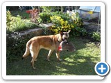 sdc10471_(fileminimizer)