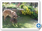 sdc10472_(fileminimizer)