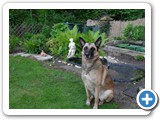 sdc10474_(fileminimizer)