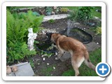 sdc10475_(fileminimizer)