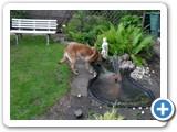 sdc10477_(fileminimizer)