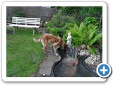 sdc10483_(fileminimizer)