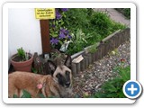 sdc10487_(fileminimizer)