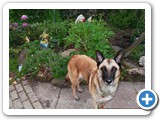 sdc10489_(fileminimizer)