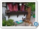 sdc10493_(fileminimizer)