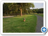 sdc10570_(fileminimizer)