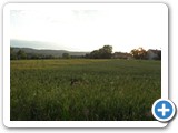 sdc10571_(fileminimizer)