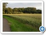 sdc10573_(fileminimizer)