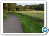 sdc10574_(fileminimizer)