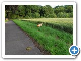 sdc10578_(fileminimizer)