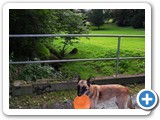 sdc10580_(fileminimizer)