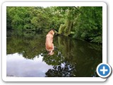 sdc10583_(fileminimizer)