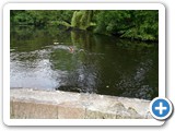 sdc10584_(fileminimizer)
