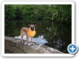 sdc10588_(fileminimizer)