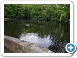 sdc10590_(fileminimizer)
