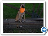 sdc10593_(fileminimizer)