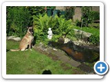 sdc10595_(fileminimizer)
