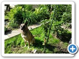 sdc10601_(fileminimizer)