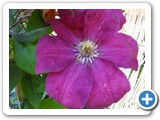 sdc10603_(fileminimizer)