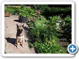 sdc10607_(fileminimizer)
