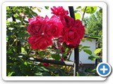 sdc10609_(fileminimizer)