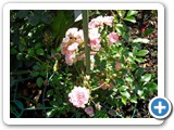 sdc10610_(fileminimizer)