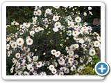 sdc10802_(fileminimizer)