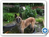 sdc10806_(fileminimizer)