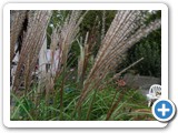 sdc10807_(fileminimizer)