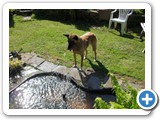 SDC10599 (2) (FILEminimizer)