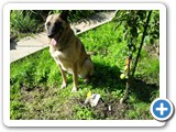 SDC10600 (2) (FILEminimizer)