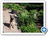 SDC10607 (FILEminimizer)