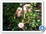 SDC10610 (FILEminimizer)