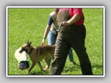 Hundeplatz_010
