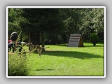 Hundeplatz_013